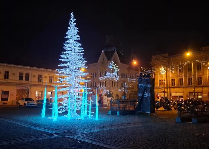 Apartamento Mercur *